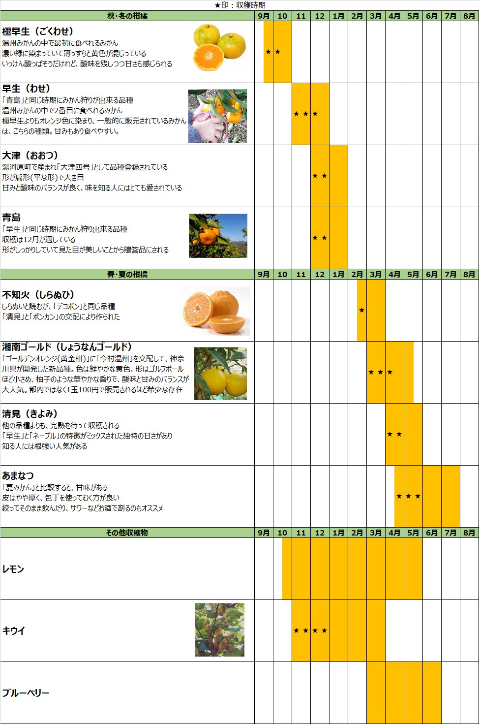 活動歴および当時の関連ビジュアル記録