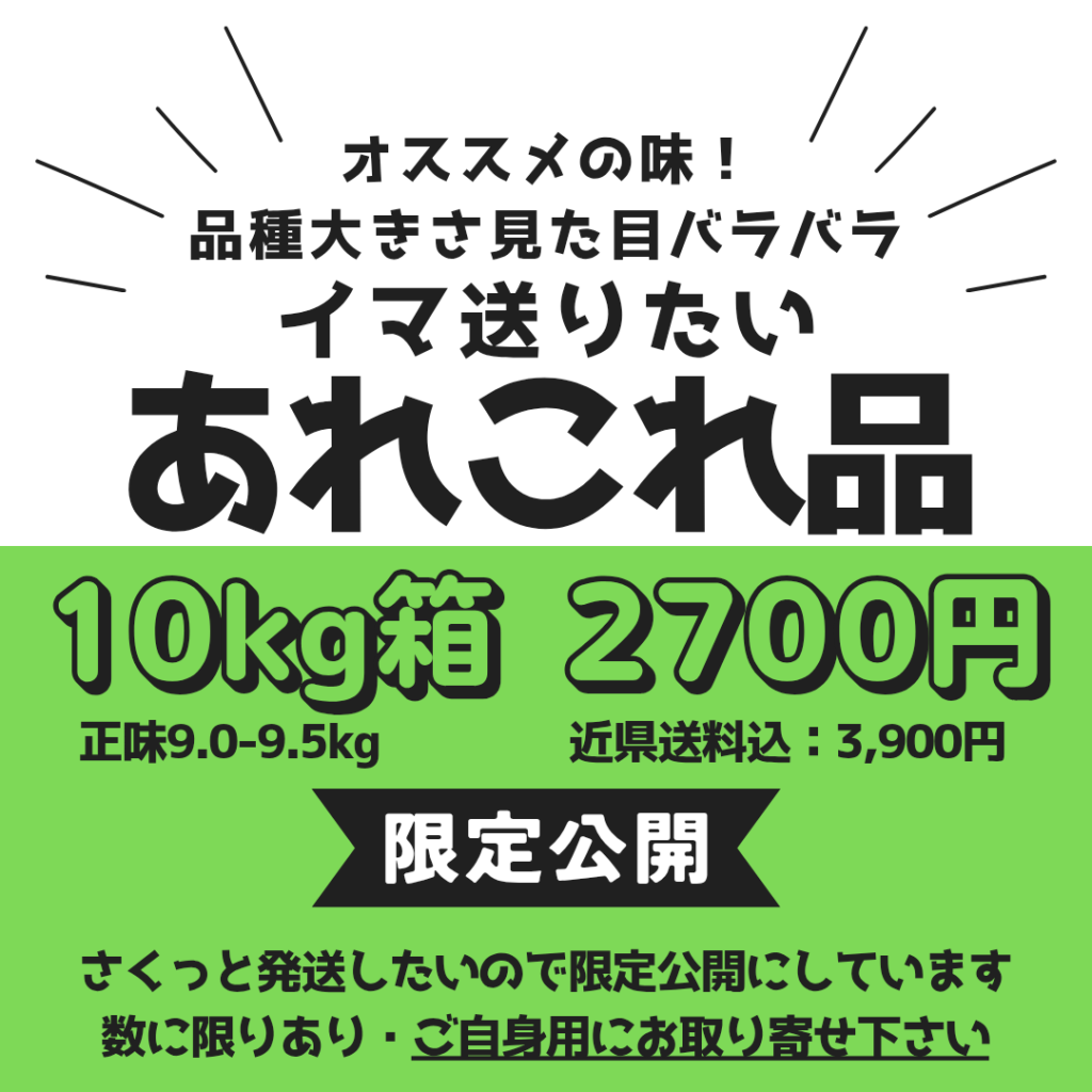 限定/あれこれ10㎏箱