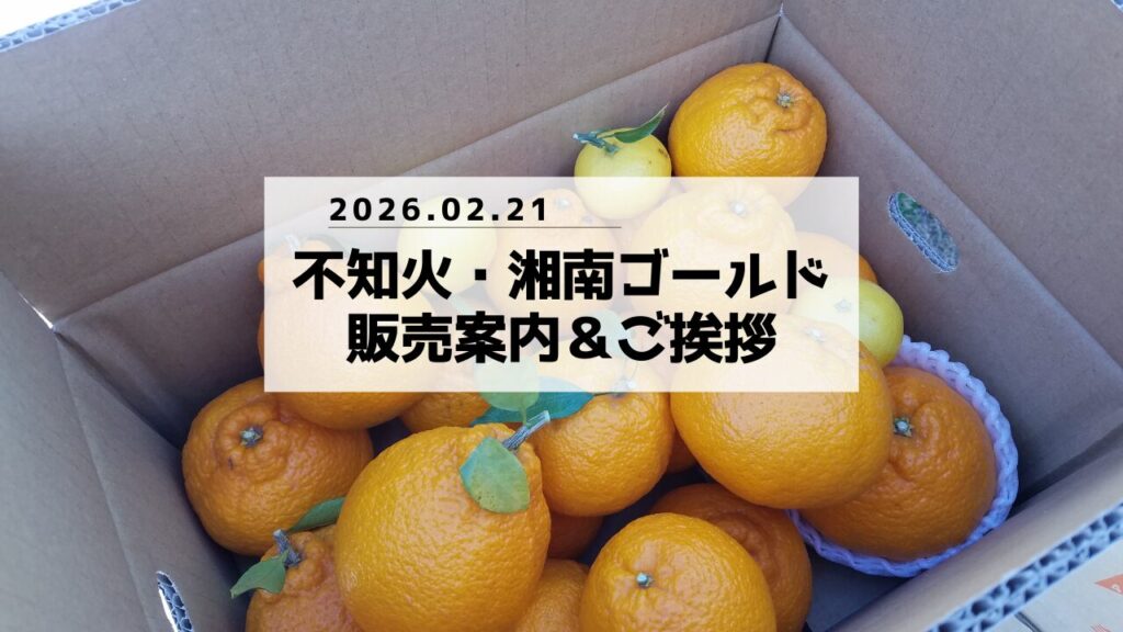 3月発送のご案内&ご挨拶