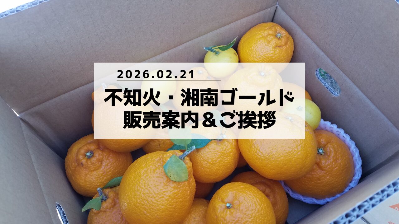 3月発送のご案内＆ご挨拶】みかん家ゆがわらーもんがわアグリー
