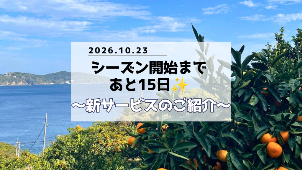 2026年シーズン開始🙌農園とつながる「おたより」スタート🍊