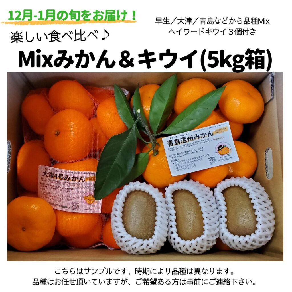 みかん&キウイ5㎏箱