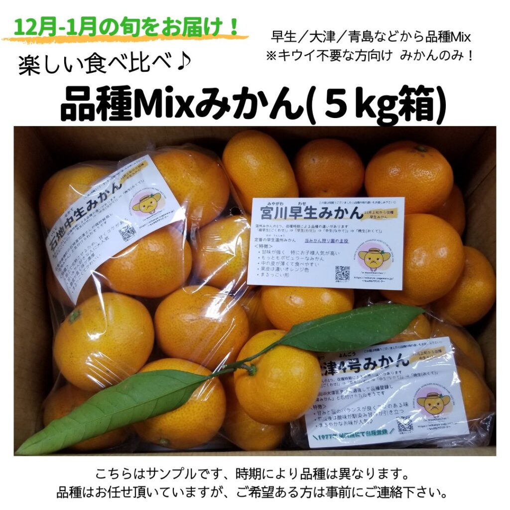 みかん5㎏箱