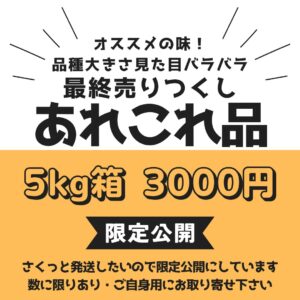 限定／春のあれこれ05㎏箱