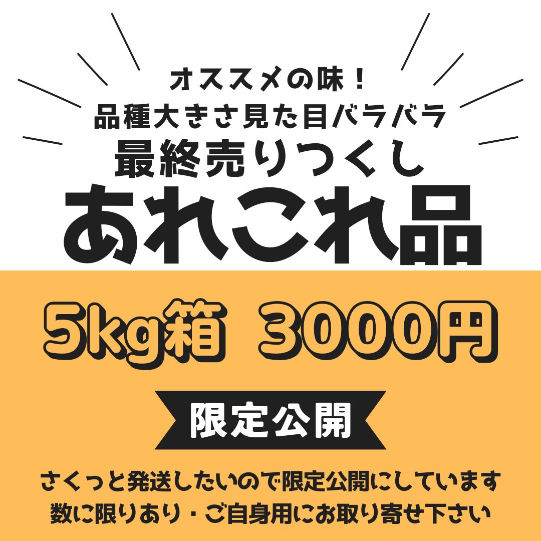 限定/春のあれこれ05㎏箱
