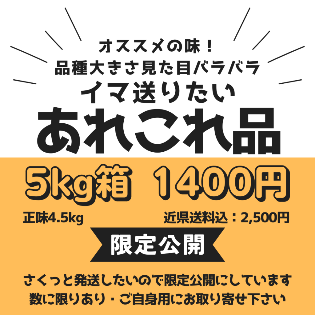限定/あれこれ05㎏箱