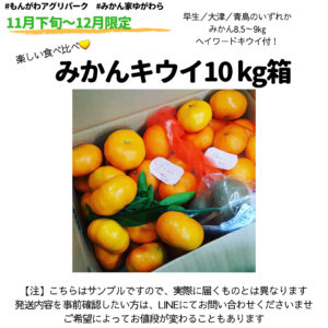 みかん キウイの５ 箱 近県送料込 もんがわアグリパークbyみかん家ゆがわら