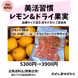 5月／レモン＆ドライ果実
