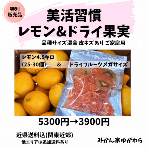 5月／レモン＆ドライ果実