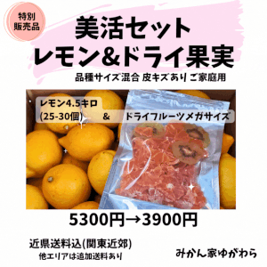 特別／レモン＆ドライ果実