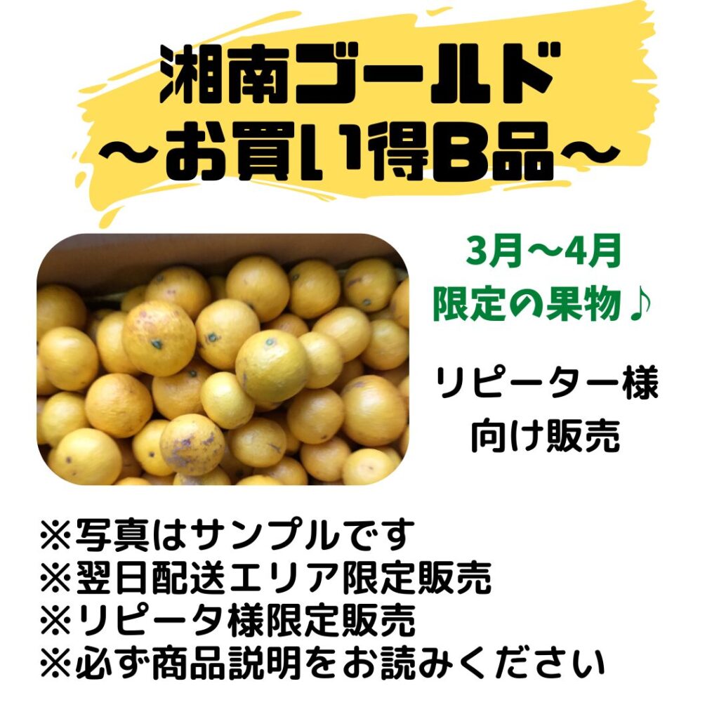 03月/リピーター様向け湘南ゴールドB品