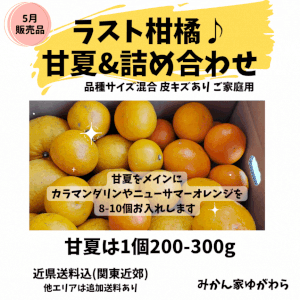 5月／甘夏と他柑橘セット